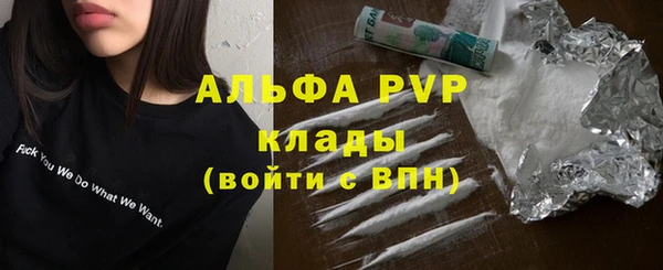 дмт Богородск
