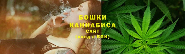 дмт Богородск