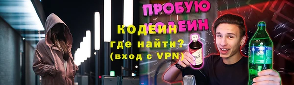 дмт Богородск