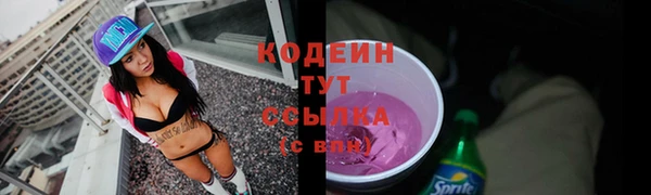 дмт Богородск