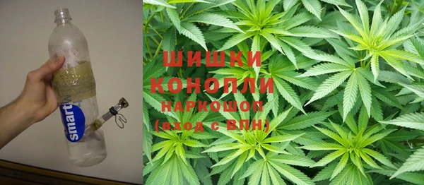 мяу мяу кристалл Богданович