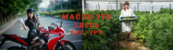 дмт Богородск