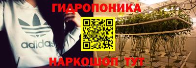 сатива Заволжье