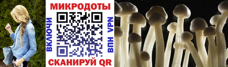 Галлюциногенные грибы мухоморы  цены   Гудермес 