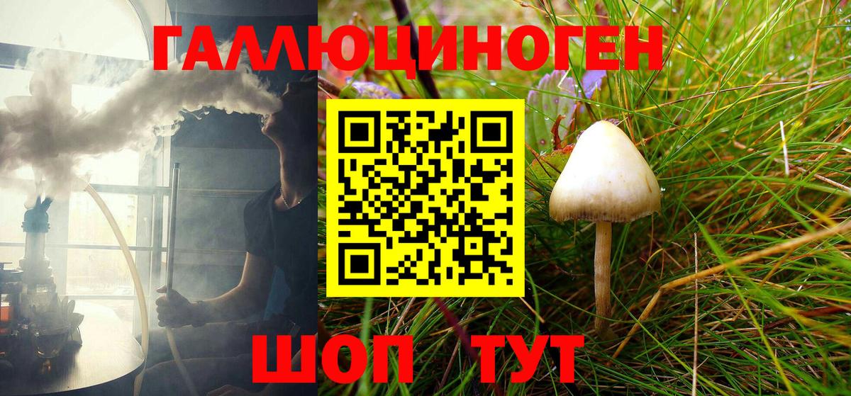 Псилоцибиновые грибы Cubensis  Вход с VPN  Гудермес 